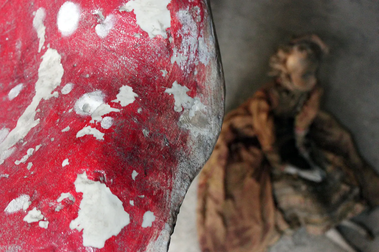 A Large Stylised Mid-20thC Painted Plaster & Fibreglass Theatre Prop Model of a Fly Agaric Toadstool