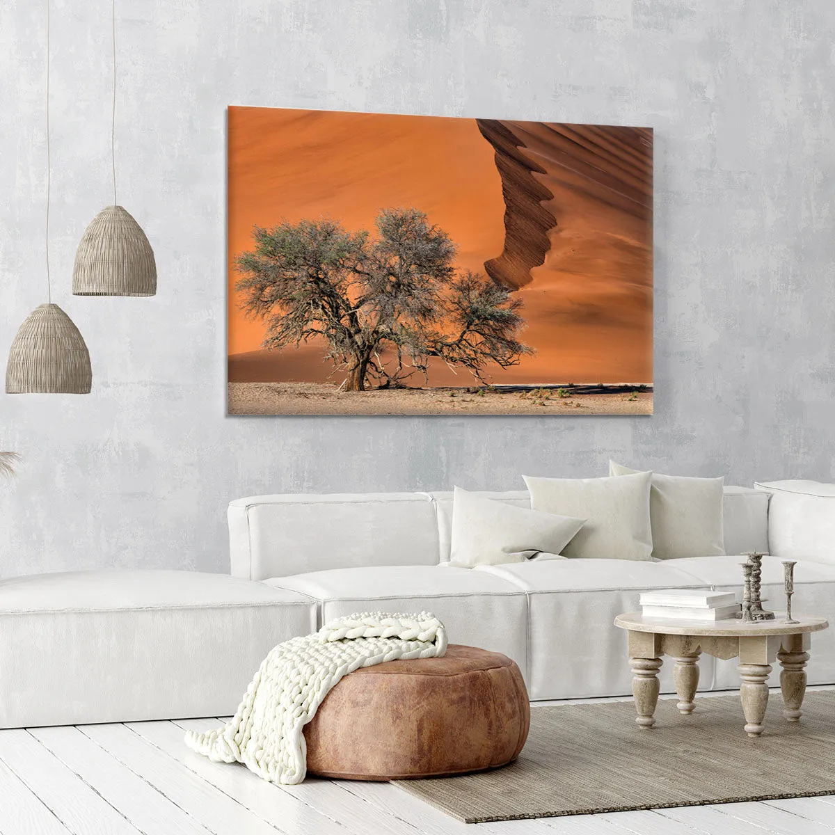 Acacia In The Desert Canvas Print or Poster