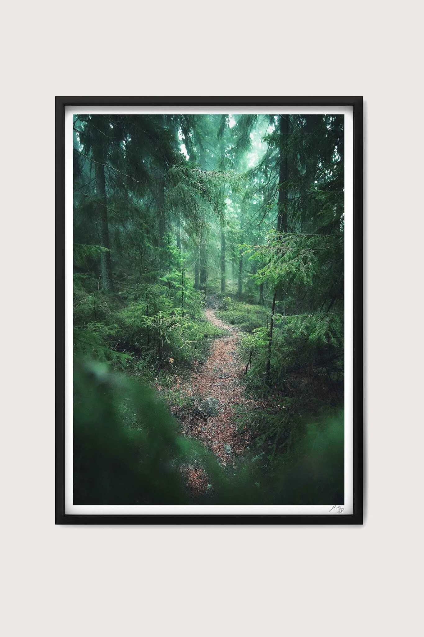 Into the Woods Fine Art Print